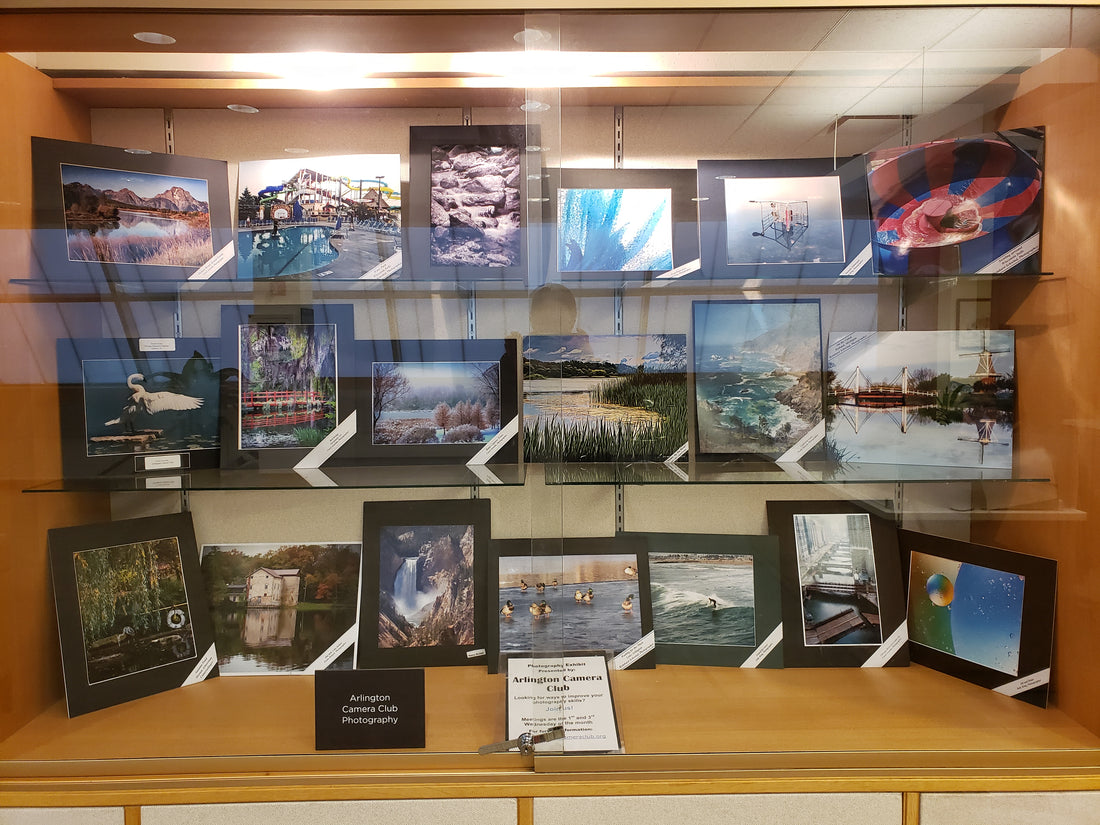 On Display at the Arlington Heights Memorial Library!